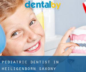 Pediatric Dentist in Heiligenborn (Saxony)
