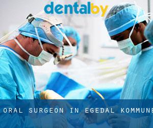 Oral Surgeon in Egedal Kommune