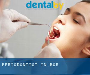 Periodontist in Bor