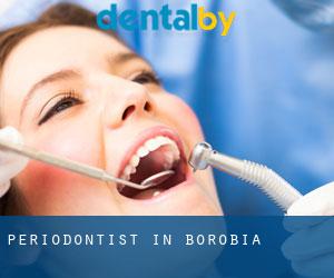 Periodontist in Borobia
