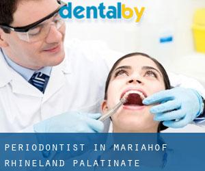 Periodontist in Mariahof (Rhineland-Palatinate)