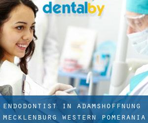 Endodontist in Adamshoffnung (Mecklenburg-Western Pomerania)
