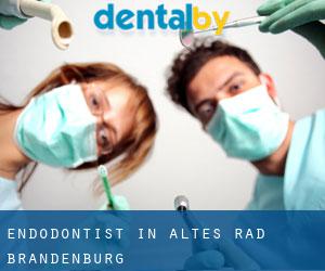 Endodontist in Altes Rad (Brandenburg)