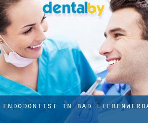 Endodontist in Bad Liebenwerda