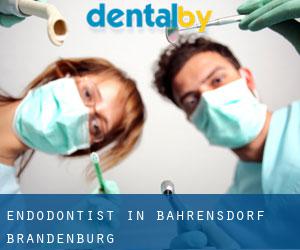 Endodontist in Bahrensdorf (Brandenburg)
