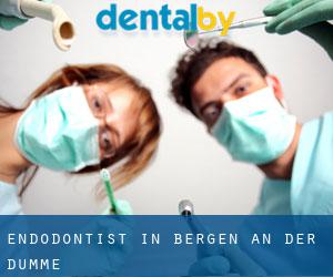 Endodontist in Bergen an der Dumme