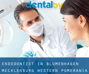 Endodontist in Blumenhagen (Mecklenburg-Western Pomerania)