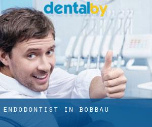 Endodontist in Bobbau
