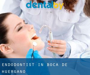 Endodontist in Boca de Huérgano