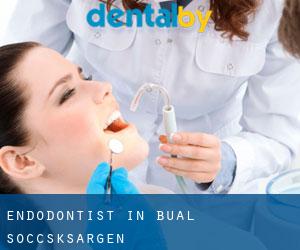 Endodontist in Bual (Soccsksargen)