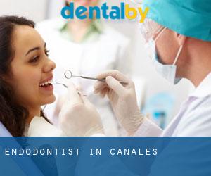 Endodontist in Canales