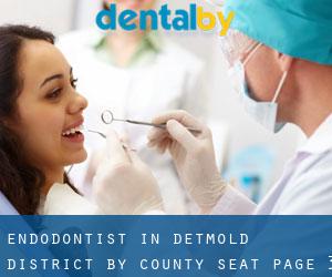 Endodontist in Detmold District by county seat - page 3