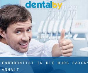 Endodontist in Die Burg (Saxony-Anhalt)