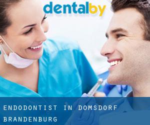 Endodontist in Domsdorf (Brandenburg) Endodontist in Domsdorf (Brandenburg)