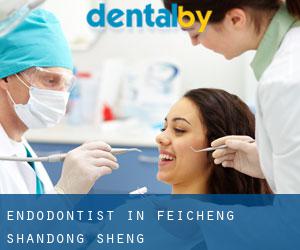Endodontist in Feicheng (Shandong Sheng)
