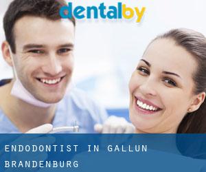 Endodontist in Gallun (Brandenburg) Endodontist in Gallun (Brandenburg)