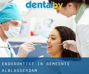 Endodontist in Gemeente Alblasserdam