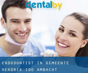 Endodontist in Gemeente Hendrik-Ido-Ambacht