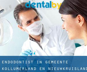 Endodontist in Gemeente Kollumerland en Nieuwkruisland