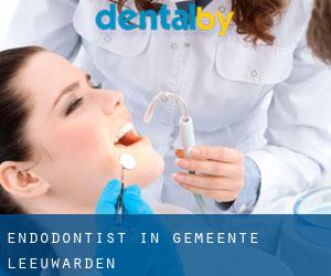 Endodontist in Gemeente Leeuwarden