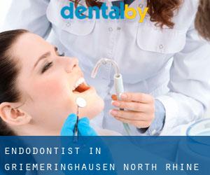 Endodontist in Griemeringhausen (North Rhine-Westphalia)