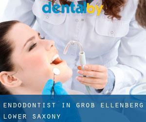 Endodontist in Groß Ellenberg (Lower Saxony)