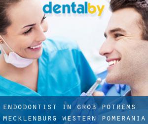 Endodontist in Groß Potrems (Mecklenburg-Western Pomerania)