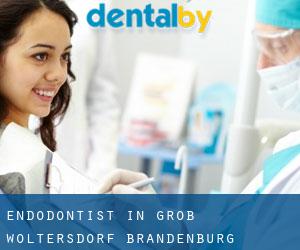 Endodontist in Groß Woltersdorf (Brandenburg)