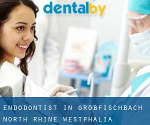 Endodontist in Großfischbach (North Rhine-Westphalia)