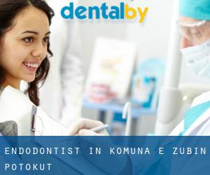 Endodontist in Komuna e Zubin Potokut