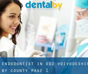 Endodontist in Łódź Voivodeship by County - page 1