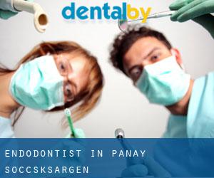Endodontist in Panay (Soccsksargen)