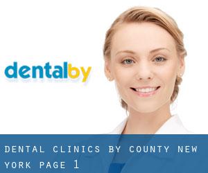 dental clinics by County (New York) - page 1