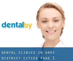 dental clinics in Grey District (Cities) - page 1
