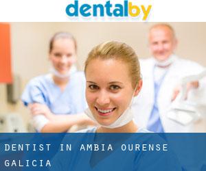 dentist in Ambía (Ourense, Galicia)