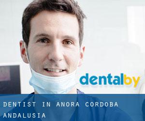 dentist in Añora (Cordoba, Andalusia)