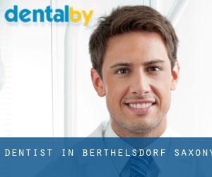 dentist in Berthelsdorf (Saxony)