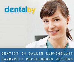 dentist in Gallin (Ludwigslust Landkreis, Mecklenburg-Western Pomerania)