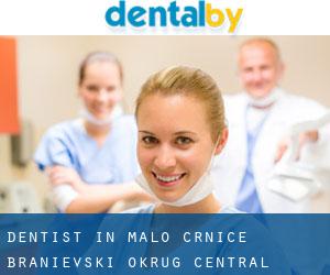 dentist in Malo Crniće (Braničevski Okrug, Central Serbia)