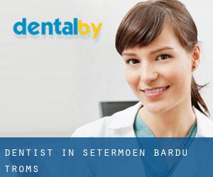dentist in Setermoen (Bardu, Troms)