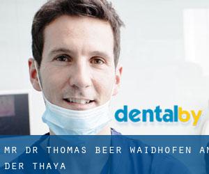 Mr. Dr. Thomas Beer (Waidhofen an der Thaya)