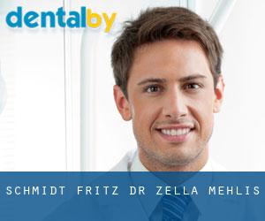 Schmidt Fritz Dr. (Zella-Mehlis)